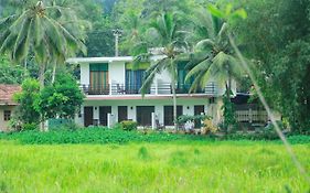 Paddy Field View Resort